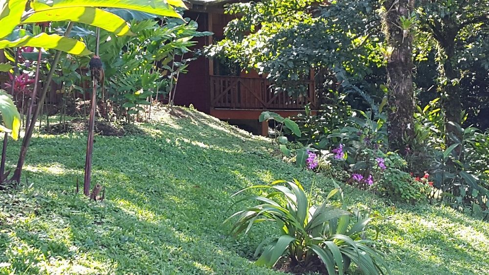 Heliconias Rainforest Lodge Bujagua Buitenkant foto